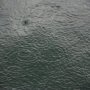 rain.jpg