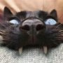 bite.jpg