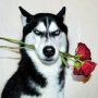 dog_with_rose.jpg
