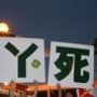 gysk.jpg