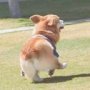 happy.jpg