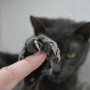scratch.jpg