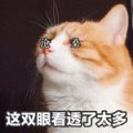vicissitudes.jpg