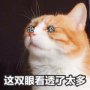 vicissitudes.jpg