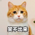 xbcl.jpg