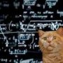 cat_and_math.jpg