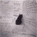 cat_and_math2.jpg