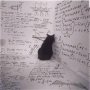 cat_and_math2.jpg