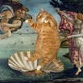 catsborn.jpg