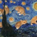 starrycat.jpg
