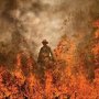 fireman.jpg