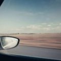 in_the_road.jpg